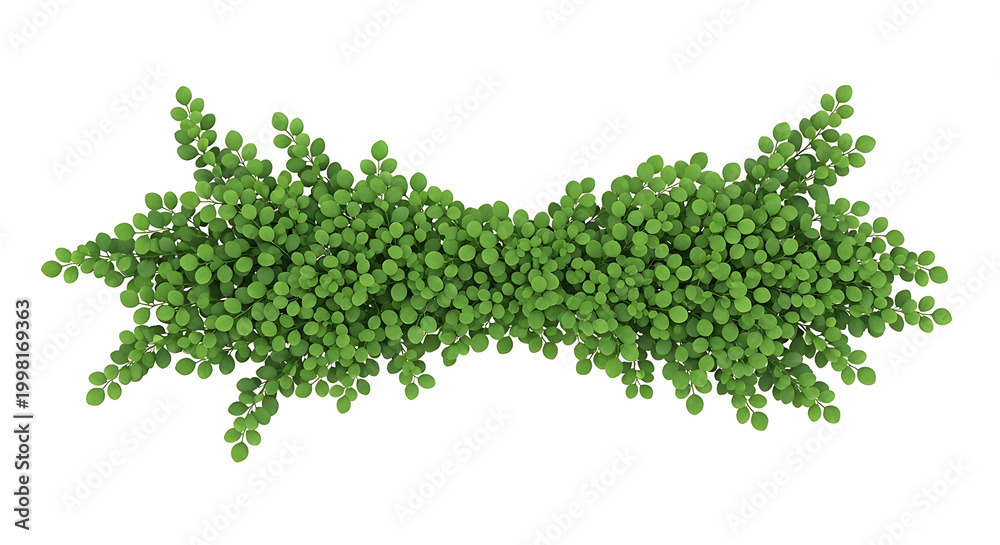 Obraz premium Green foliage leafy branch PNG isolated on transparent background