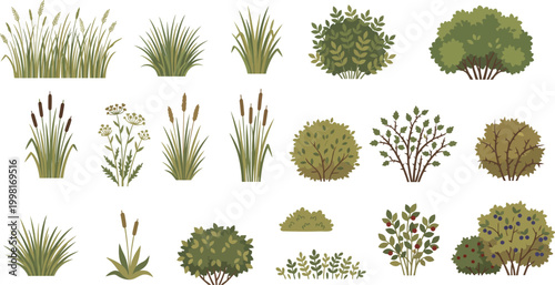 A diverse collection of green grass, shrubs, and bushes on white.