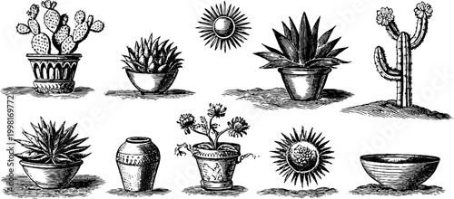 Vintage engraved cacti agave and sun clipart collection with pots and bowls in black and white for botanical design and decor
