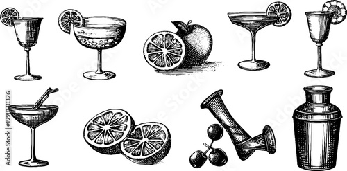Vintage engraved cocktail glass and citrus drawing sheet in black ink for bar menu background and label design and printable elements