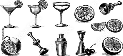 Vintage engraved cocktail glass citrus and bar tool drawing sheet in black ink for menu background label and barware design elements