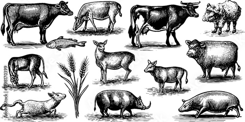 Vintage engraved farm animals clipart sheet with cows sheep pigs deer and livestock for pastoral background ranch label and agricultural design