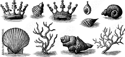 Vintage engraved mermaid crowns shells coral and conch sheet for nautical background and jewelry packaging design with oceanic elements