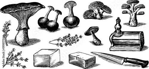 Vintage engraved mushroom and truffle specimen sheet with herbs kitchen tools and knife for culinary label and background design