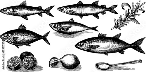 Vintage engraved sardine and fish fillet clipart sheet with lemon and spoon elements for kitchen label menu and packaging design background