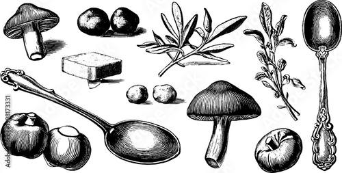Vintage engraved truffle and mushroom engraving sheet with spoons and herbs for kitchen background poster and culinary design