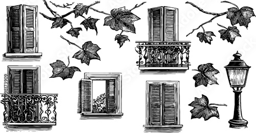 Vintage engraved window shutters and balcony elements sheet with ivy leaves and street lamp for decorative background and architectural design