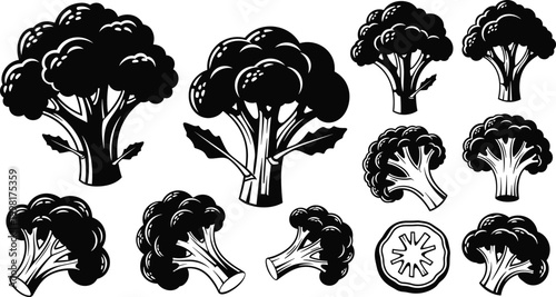 Broccoli and Vegetable Icons Set with Fresh Broccoli, Florets, and Sliced Sections for Healthy Eating and Organic Food Designs