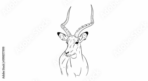 Minimalist line art sketch of an antelope's head and shoulders
