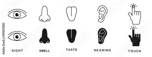 Five Human Senses Line and Flat Icon Set – Sight, Hearing, Smell, Taste, Touch Editable Stroke Vector