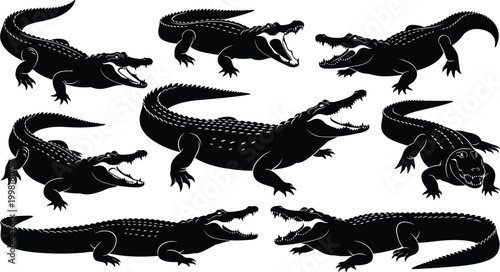 Alligator silhouette illustration, reptile wildlife design, dangerous predator artwork, crawling and roaring poses, aggressive animal concept, nature reptile scene, educational reptile art