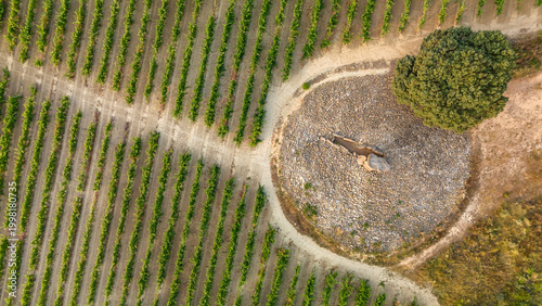 Aerial view of the Sorginaren Txabola dolmen in Spain.