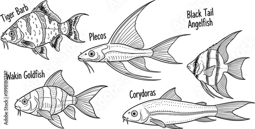 Fish Icon Set Featuring Detailed Illustrations of Tiger Barb, Goldfish, Plecos, Angelfish, and Corydoras for Aquatic, Pet, and Wildlife Themes