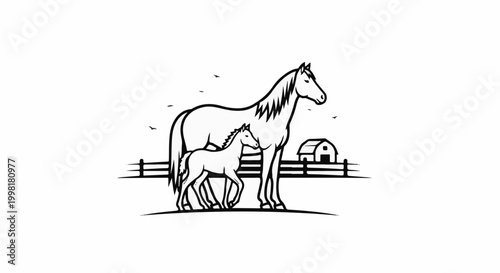 Majestic mother and foal stand proudly on a farm with a barn in the background