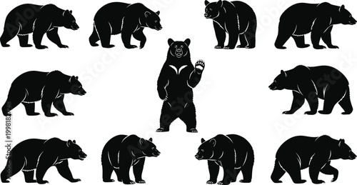 Bear silhouette collection, wildlife vector icons, black animal artwork, forest illustration, mammal clipart, nature design, educational graphics, zoology pattern, species study