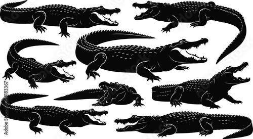 Black alligator silhouettes, crocodile vector illustrations, reptile poses, aggressive jaws, wildlife clipart, animal design, predator artwork, educational graphics, nature icons