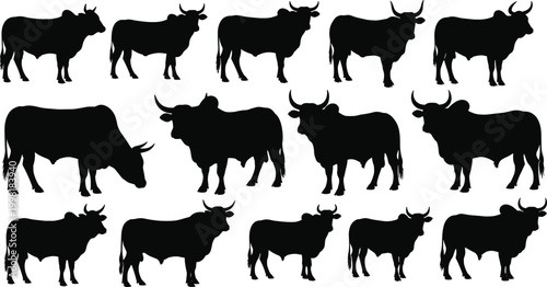 Bull cow silhouette illustration set, livestock animal artwork, cattle vector design, horned beast graphic, farm animal concept, ranch motif
