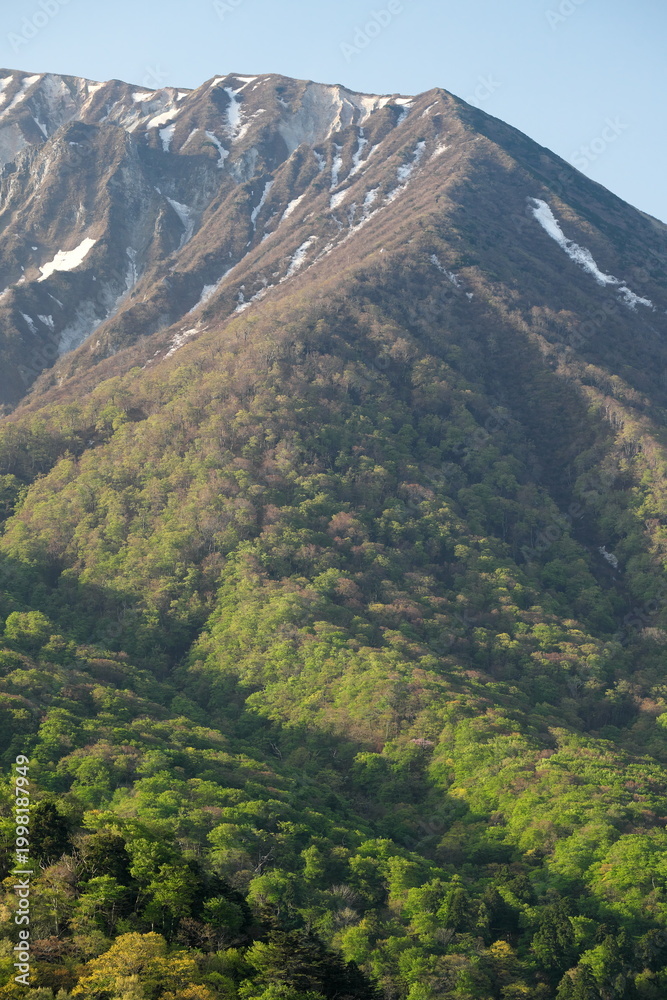 Obraz premium 鳥取県の春の新緑と伯耆大山