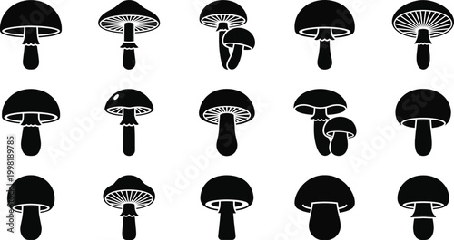Collection of black mushroom with varied cap and stem shapes white