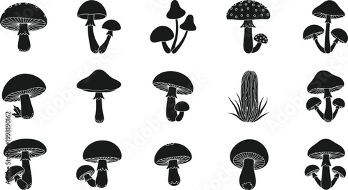 Collection of black silhouette mushroom with detailed gills and stems fungi