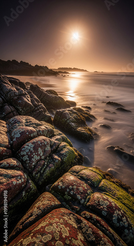 coastal landscape in moonlight