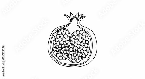 Outline of a pomegranate cut open to reveal its arils