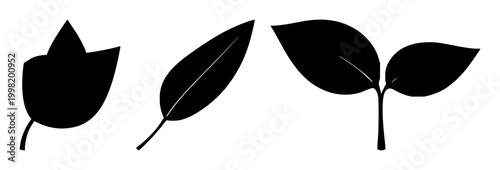 Corporate social responsibility leaf set with solid black icon on white background featuring leaf, circular, environmental with icons and sustainability