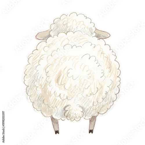 Hand drawn fluffy white sheep illustration from back view on black background