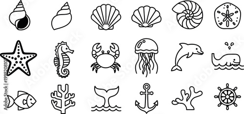 Collection of black and white line depicting marine life and nautical seashell conch scallop nautilus