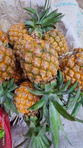 High-angle close-up of a cluster of ripe, golden-yellow pineapples with vibrant green leaves at a local tropical fruit market