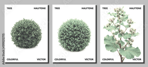 boxwood shrub bush set halftone vector pop art foliage isolated green dotted collection topiary garden leaf bundle