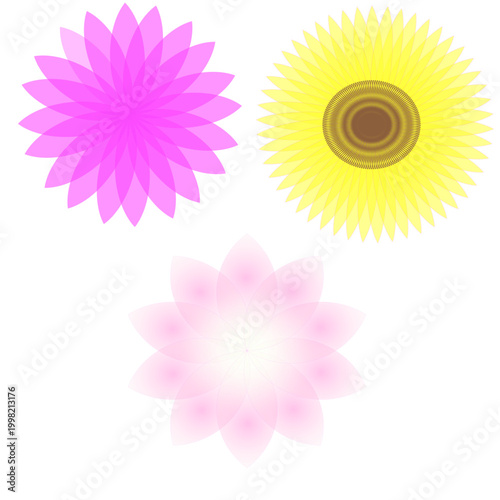orbs shapes elements pink graphic flowers yellow art minimalist blooms