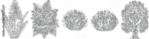 Fotografie Shady Canopy Tree Draw Symbols for Sustainable Urban CAD and Architectural Drawi