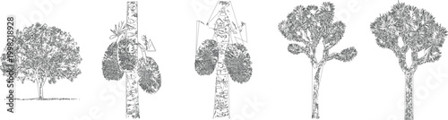 Orchard Style Fruit Tree Draw for Agricultural CAD and Architectural Drawings Vector Set