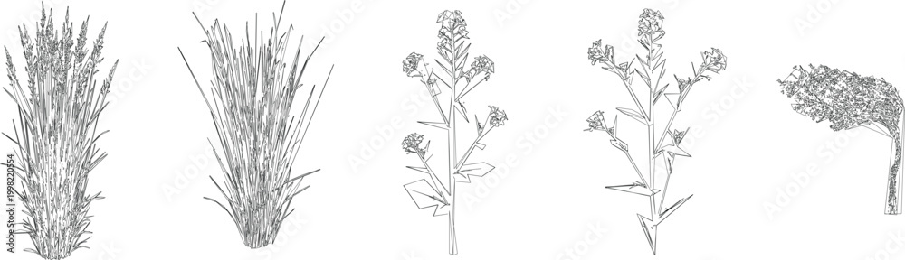 Obraz premium Intricate Herb and Botanical Tree Draw Vector Set for Detailed CAD Architectural Drawings
