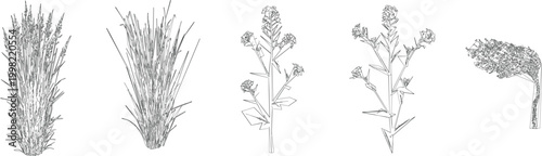 Intricate Herb and Botanical Tree Draw Vector Set for Detailed CAD Architectural Drawings