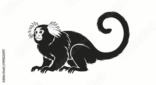 Silhouette of a small monkey with a bushy tail, white ear tufts
