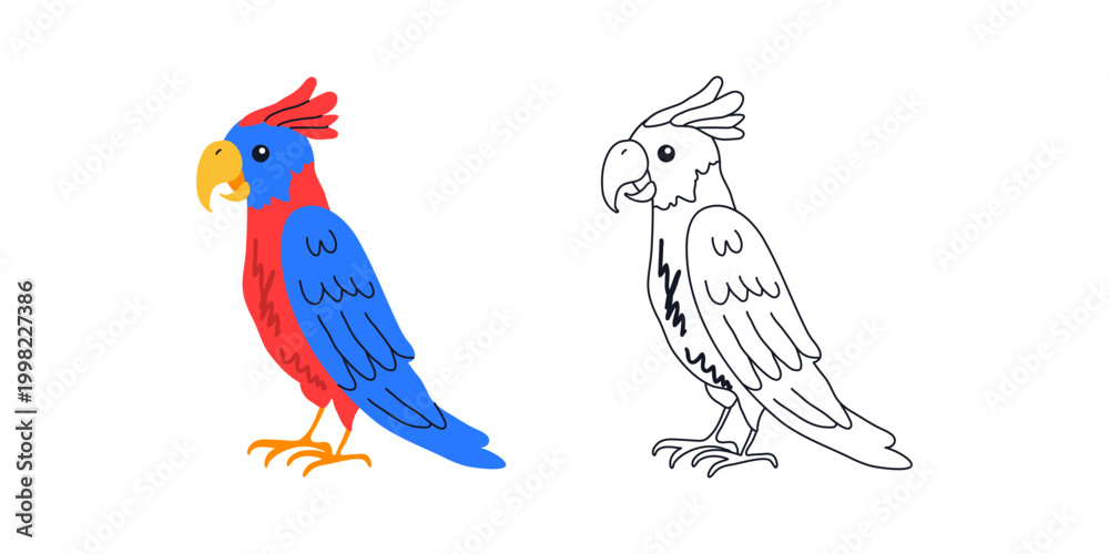 Obraz premium Colorful Cartoon Parrot and Black Outline Version. Hand Drawn Tropical Bird Character.