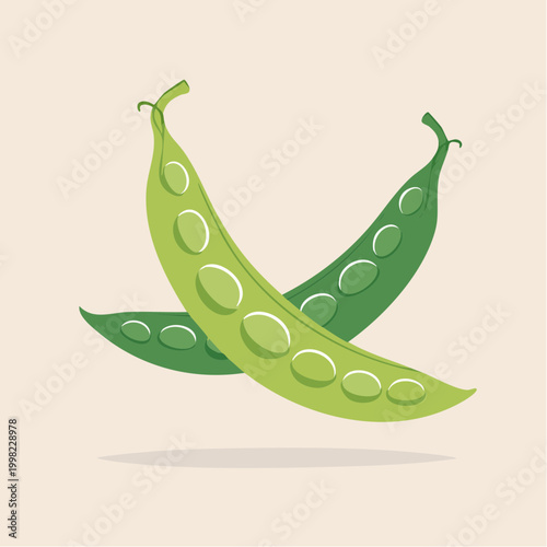 Tableau sur toile Two Green Pea Pods Illustration