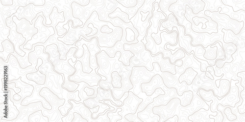 Gray topographic map lines on white background for design and texture