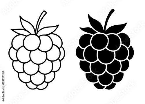 Raspberry minimalist illustration, outline and silhouette fruit icon