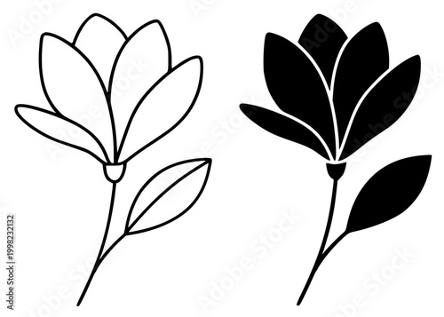 Magnolia minimalist illustration, outline and silhouette plant icon