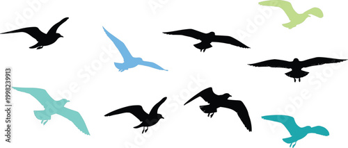 
Flying Seagull Bird Silhouette Set in Black, Blue, Teal and Green for Nature, Wildlife and Freedom Concept Designs