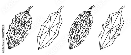 bitter melon , Geometric Origami line art vector set