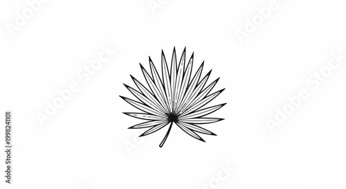 Stylized black and white illustration of a single palm frond fan shape