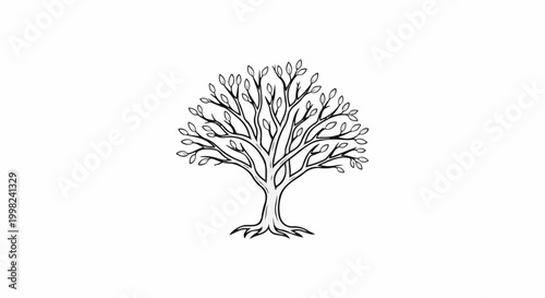 Stylized black and white illustration of a deciduous tree with bare branches and small leaves