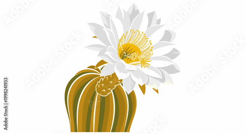 Stylized desert cactus with a large white and yellow bloom