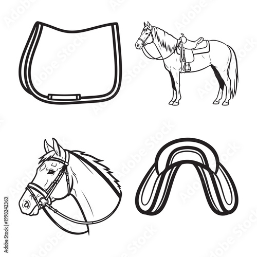 Horse saddle and horse tack illustrations