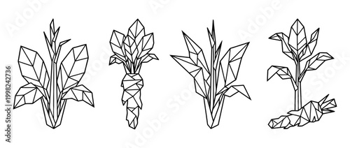 horseradish , Geometric Origami line art vector set