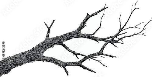 The Golden Temper: Mastering the Perfect Dal

Lentil Love: A Bowl of Pure Comfort

The Art of Tarka: Elevating Simple Dal

Hearty & Healthy: The Ultimate Lentil Guide

Protein-Packed: Delicious 